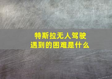 特斯拉无人驾驶遇到的困难是什么