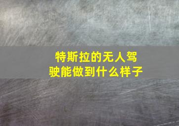 特斯拉的无人驾驶能做到什么样子