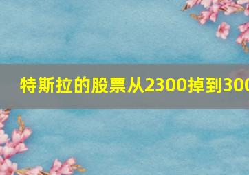 特斯拉的股票从2300掉到300