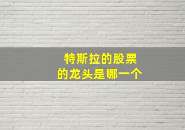 特斯拉的股票的龙头是哪一个