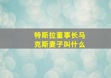 特斯拉董事长马克斯妻子叫什么