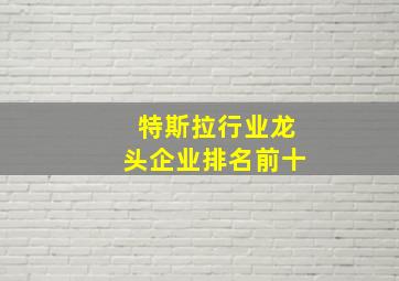 特斯拉行业龙头企业排名前十