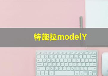 特施拉modelY