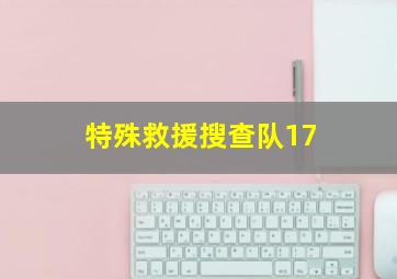 特殊救援搜查队17