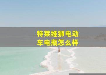 特莱维狮电动车电瓶怎么样