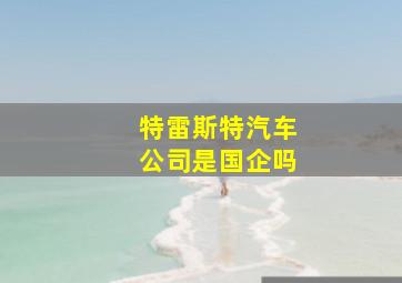 特雷斯特汽车公司是国企吗