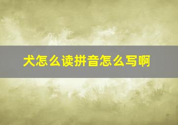 犬怎么读拼音怎么写啊