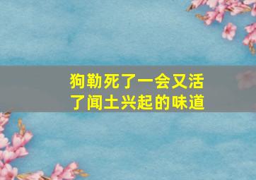 狗勒死了一会又活了闻土兴起的味道