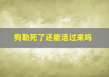 狗勒死了还能活过来吗