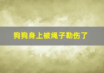 狗狗身上被绳子勒伤了