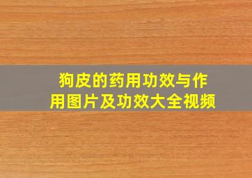 狗皮的药用功效与作用图片及功效大全视频