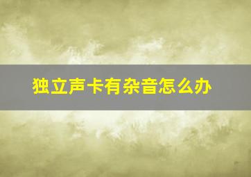 独立声卡有杂音怎么办