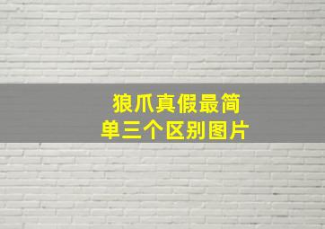 狼爪真假最简单三个区别图片