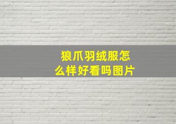 狼爪羽绒服怎么样好看吗图片