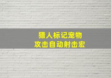 猎人标记宠物攻击自动射击宏