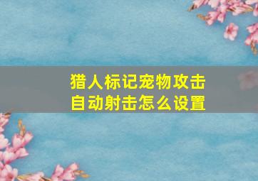 猎人标记宠物攻击自动射击怎么设置