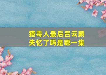 猎毒人最后吕云鹏失忆了吗是哪一集