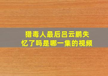 猎毒人最后吕云鹏失忆了吗是哪一集的视频