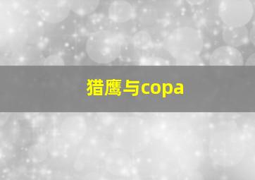 猎鹰与copa