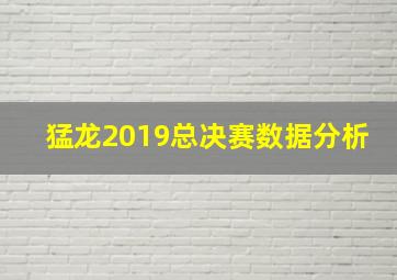 猛龙2019总决赛数据分析