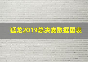 猛龙2019总决赛数据图表