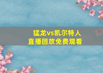 猛龙vs凯尔特人直播回放免费观看