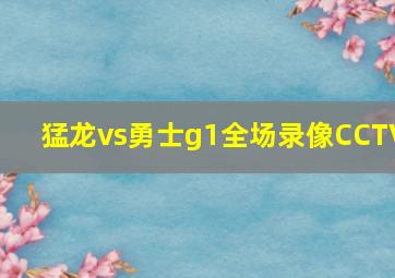 猛龙vs勇士g1全场录像CCTV