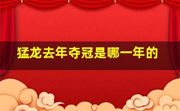 猛龙去年夺冠是哪一年的