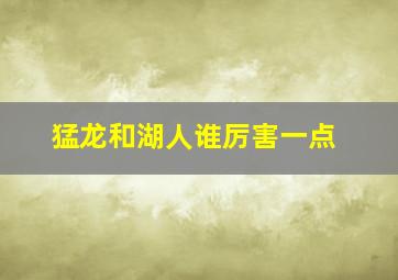 猛龙和湖人谁厉害一点