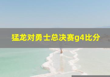 猛龙对勇士总决赛g4比分