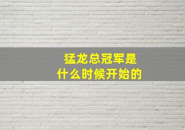 猛龙总冠军是什么时候开始的