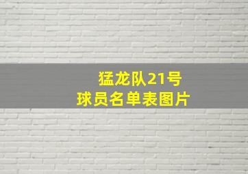 猛龙队21号球员名单表图片