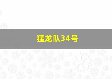 猛龙队34号