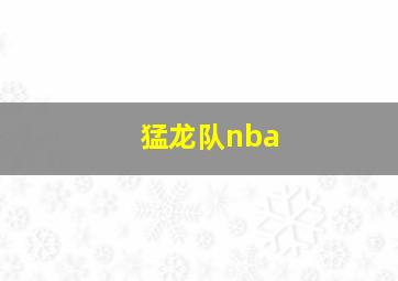 猛龙队nba