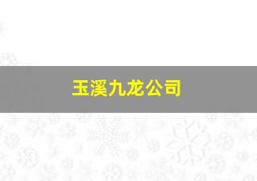 玉溪九龙公司