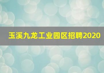 玉溪九龙工业园区招聘2020