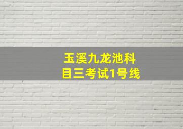 玉溪九龙池科目三考试1号线