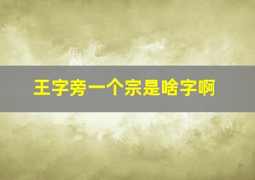 王字旁一个宗是啥字啊