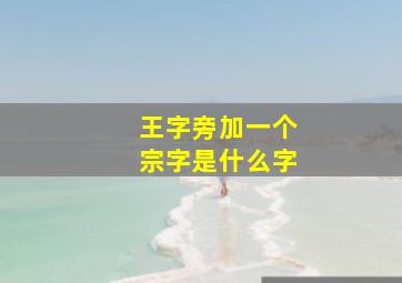 王字旁加一个宗字是什么字