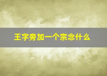 王字旁加一个宗念什么