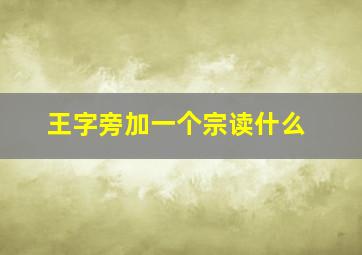 王字旁加一个宗读什么