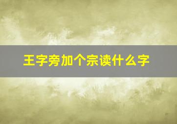 王字旁加个宗读什么字