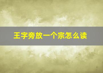 王字旁放一个宗怎么读