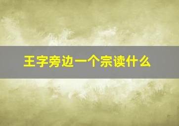 王字旁边一个宗读什么