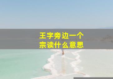 王字旁边一个宗读什么意思