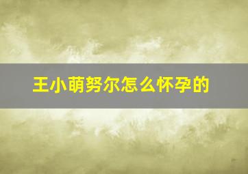 王小萌努尔怎么怀孕的