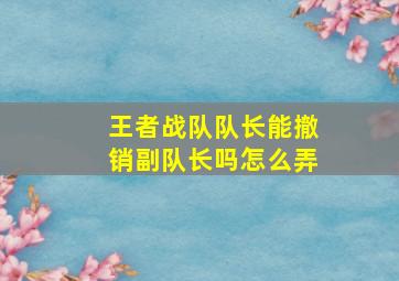 王者战队队长能撤销副队长吗怎么弄