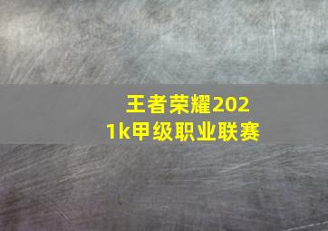 王者荣耀2021k甲级职业联赛