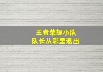 王者荣耀小队队长从哪里退出