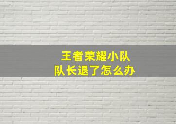 王者荣耀小队队长退了怎么办